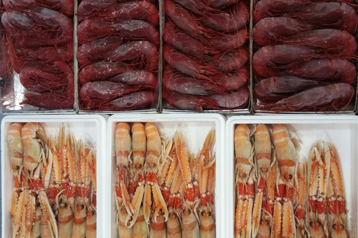 Cocedero de mariscos Antonio Garrido Moya Gran variedad de productos para estas fechas